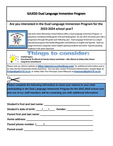 dual immersion pdf